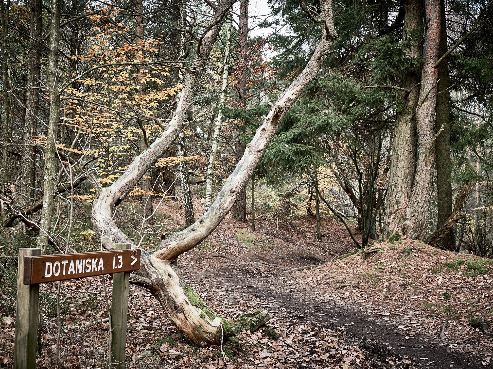 image of estate facade