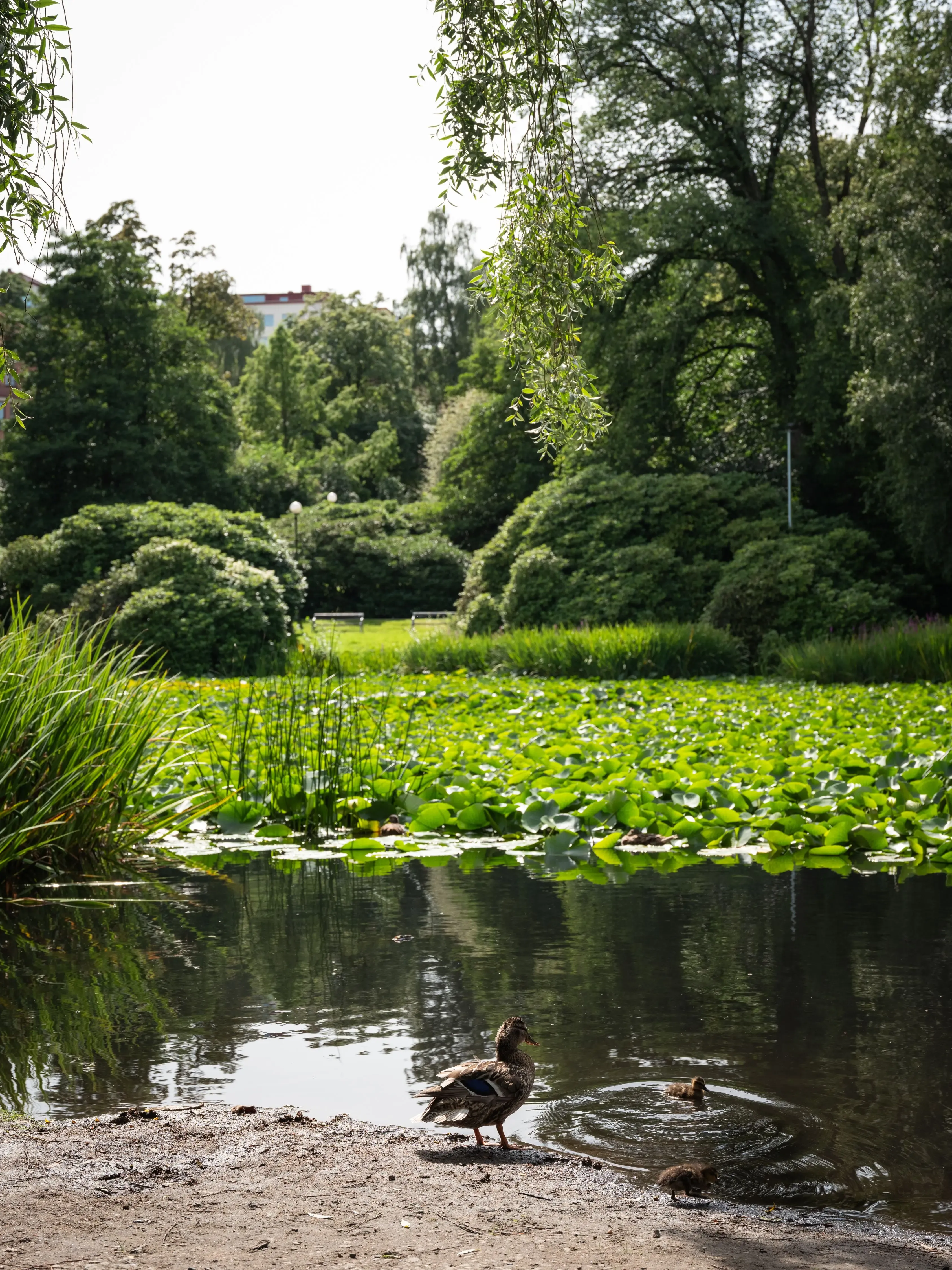image of estate facade