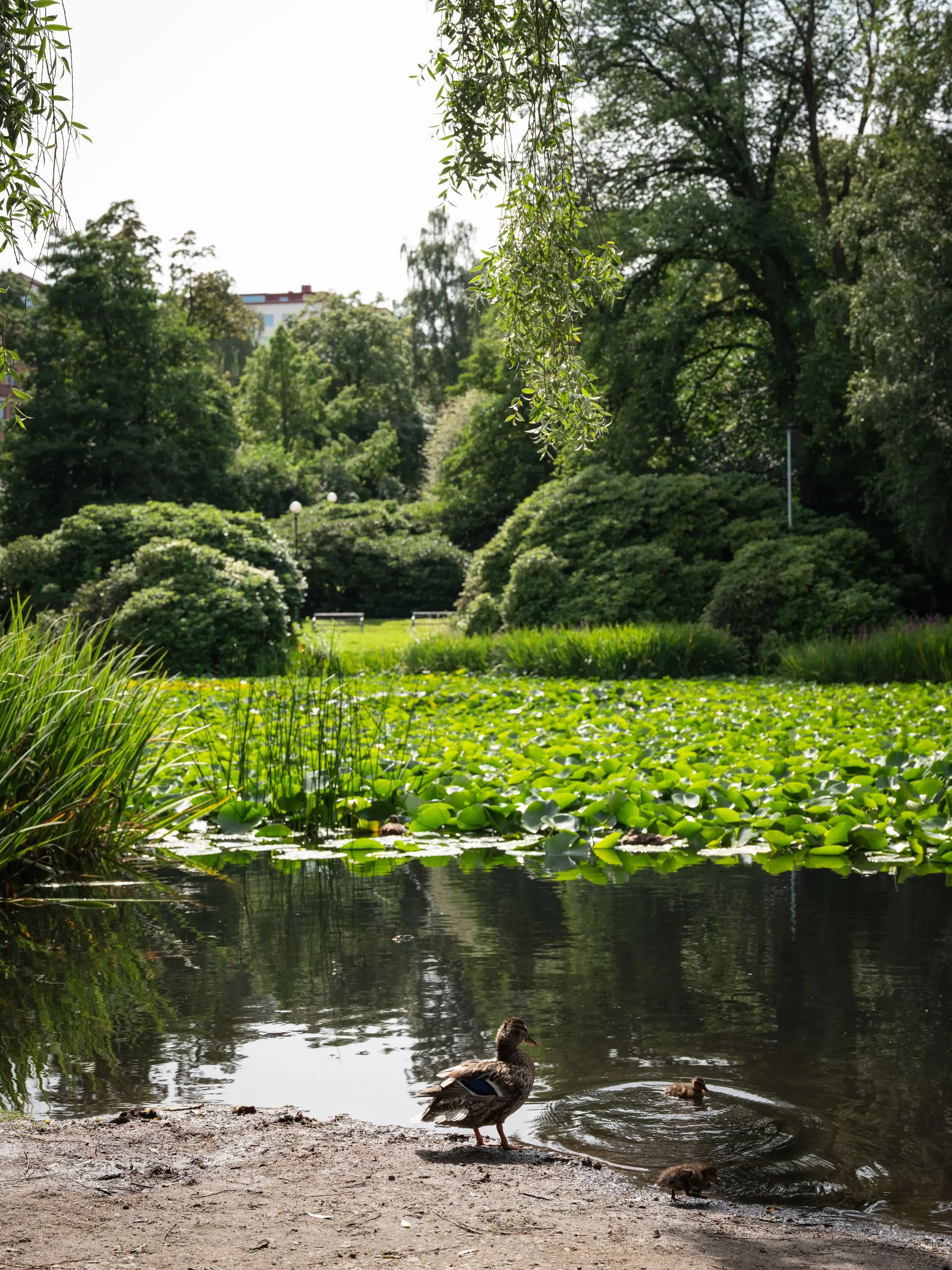 image of estate facade